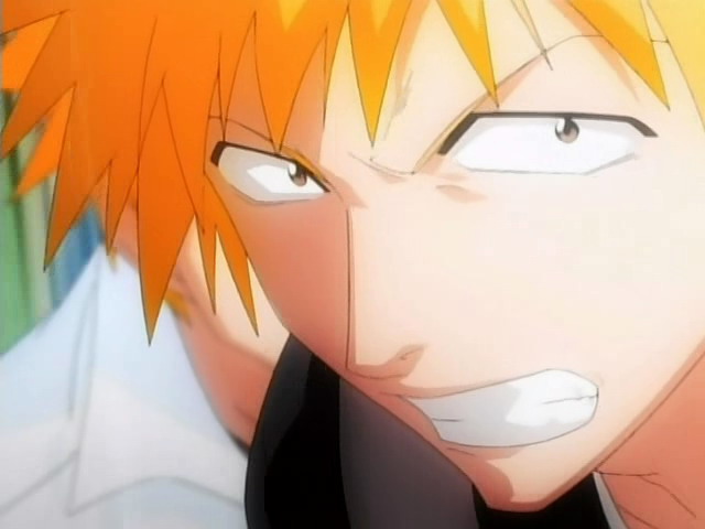 Otaku Gallery  / Anime e Manga / Bleach / Screen Shots / Episodi / 007 - Saluti da un animale di pezza / 058.jpg